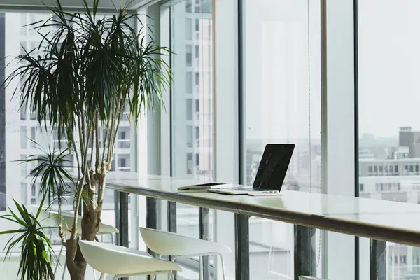 A sunlit workspace with a laptop, plants, and room to think